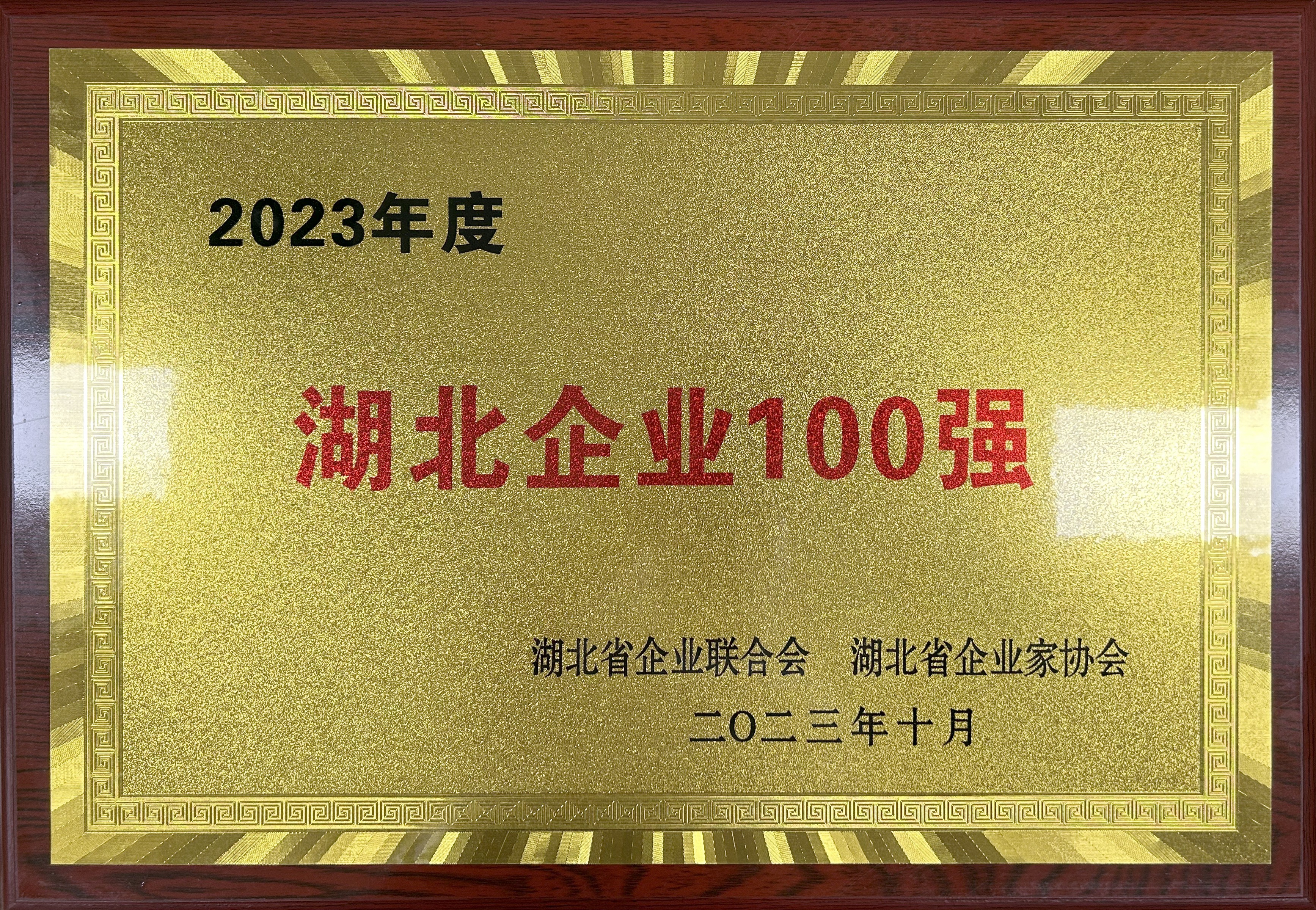 2023年度湖北企業(yè)100強(qiáng)